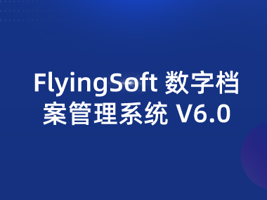 FlyingSoft 数字档案管理系统